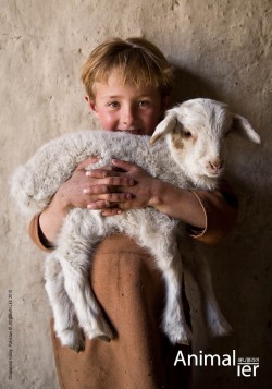 애니멀리어 Animalier